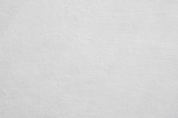 Professional Mold Removal in Perrysburg, OH